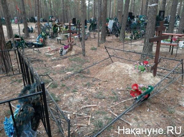 "Как будто катком прошли!" На одном из кладбищ под Курганом упавшее дерево раздавило несколько могил - nakanune.ru