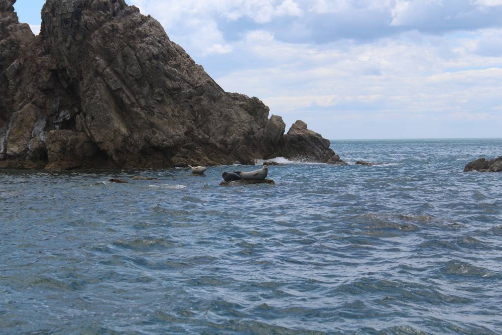 Шхуна с российскими рыбаками вышла в море и исчезла - vm.ru - Владивосток