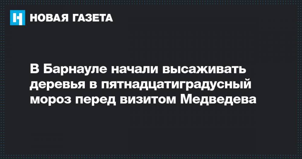 Дмитрий Медведев - В Барнауле начали высаживать деревья в пятнадцатиградусный мороз перед визитом Медведева - novayagazeta.ru - Барнаул - Barnaul