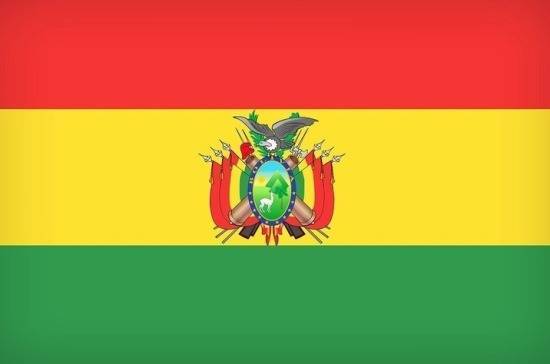 Аньес Жанин - Временный президент Боливии назначила новый кабинет министров - pnp.ru - Боливия