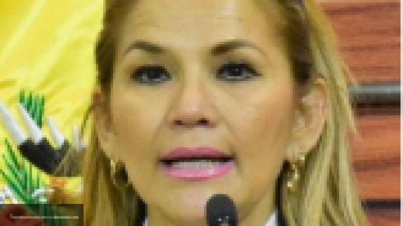 Аньес Жанин - Сенатор Жанин Аньес была признана колумбийским МИД и.о президента Боливии - nation-news.ru - Колумбия - Боливия