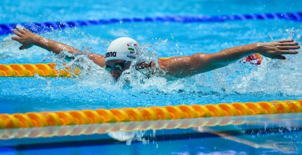 Алексей Власенко - Россия примет чемпионат Европы по водным видам спорта 2024 года - govoritmoskva.ru - Россия - Нижний Новгород - Казань - Будапешт - Рим