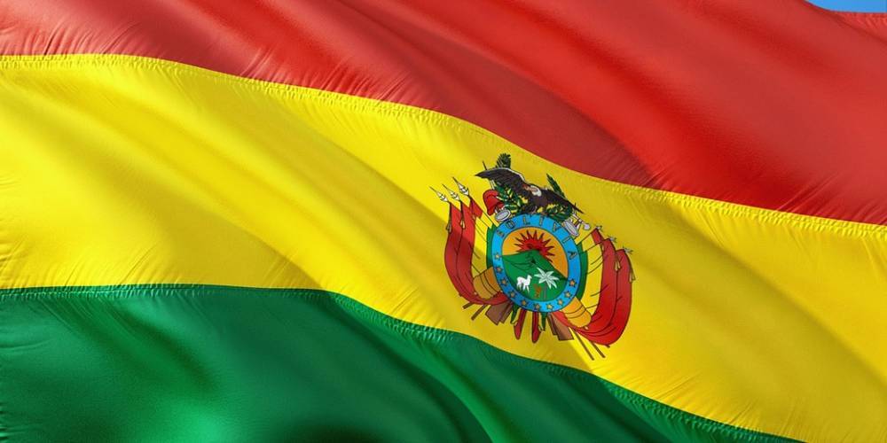 Эво Моралес - Аньес Жанин - Сенатор в Боливии объявила себя временным президентом - detaly.co.il - Боливия
