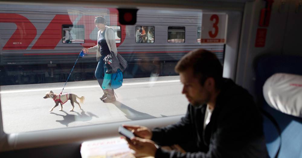 Назван самый бюджетный способ добраться из Москвы в Петербург - moslenta.ru - Москва - Санкт-Петербург