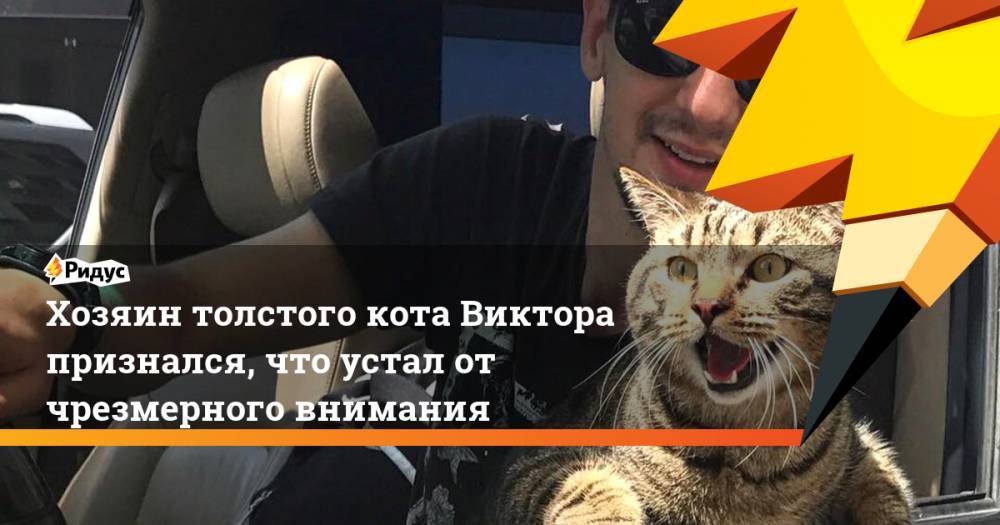 Михаил Галин - Хозяин толстого кота Виктора признался, что устал от чрезмерного внимания - ridus.ru - Владивосток