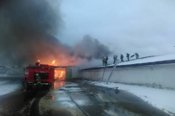 В Нижнем Тагиле загорелся склад птицефабрики: в цехе складировались яйца в горючей упаковке - nakanune.ru