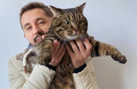Михаил Галин - Хозяин кота Виктора предложил «Аэрофлоту» отдать его мили на благотворительность - bfm.ru