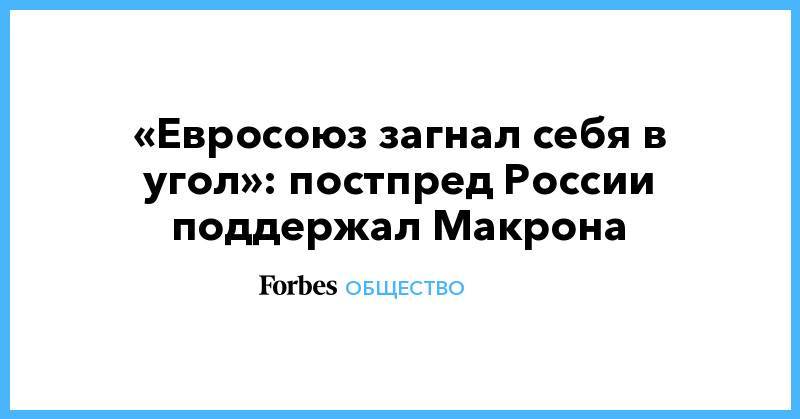 Владимир Чижов - «Евросоюз загнал себя в угол»: постпред России поддержал Макрона - forbes.ru - Россия - Франция - Македония - Албания