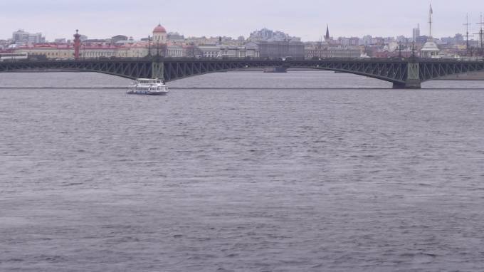 Петербуржцев удивила трава, плавающая между двумя мостами - piter.tv - Санкт-Петербург
