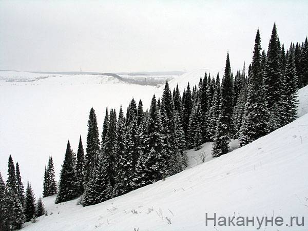 Пропавший в лесу на Среднем Урале 72-летний пенсионер обнаружен мертвым - nakanune.ru