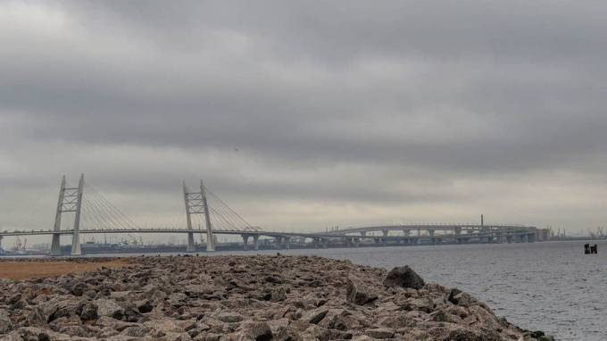 В Финском заливе резко упал уровень воды - piter.tv - Петербурга