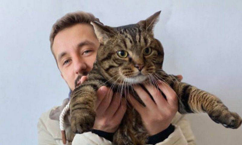 Михаил Галин - Владелец толстого кота станет акционером «Аэрофлота» - bloknot.ru