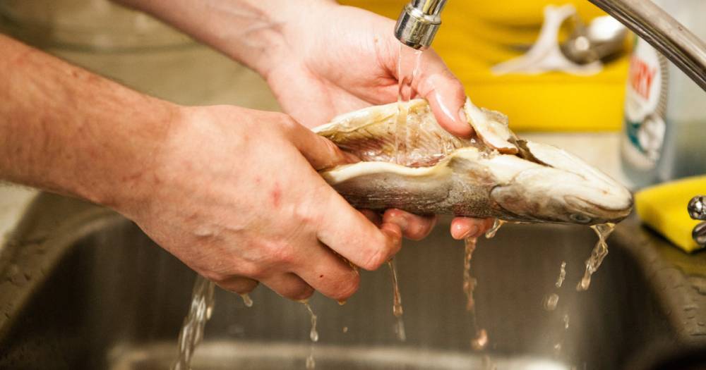 Как отмыть руки от запахов лука, рыбы и чеснока? - readovka.news