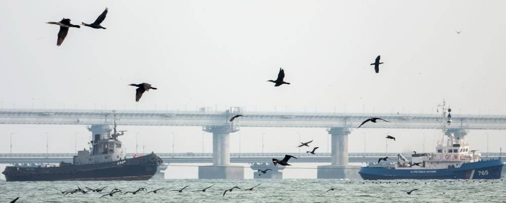 Ян Кап - Украинские катера повторно попытались пройти под Крымским мостом - politnavigator.net - Киев - Никополь - Бердянск