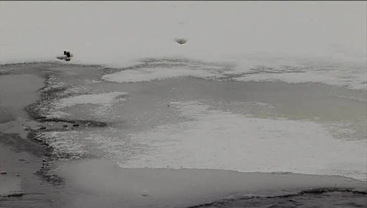 По пояс в воде: в Зеленогорске рыбаки попали в ловушку из-за сброса на ГРЭС - vesti.ru - Красноярск - Зеленогорск