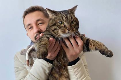 Михаил Галин - Заводчики кошек раскритиковали пассажира с котом за нарушение правил «Аэрофлота» - lenta.ru