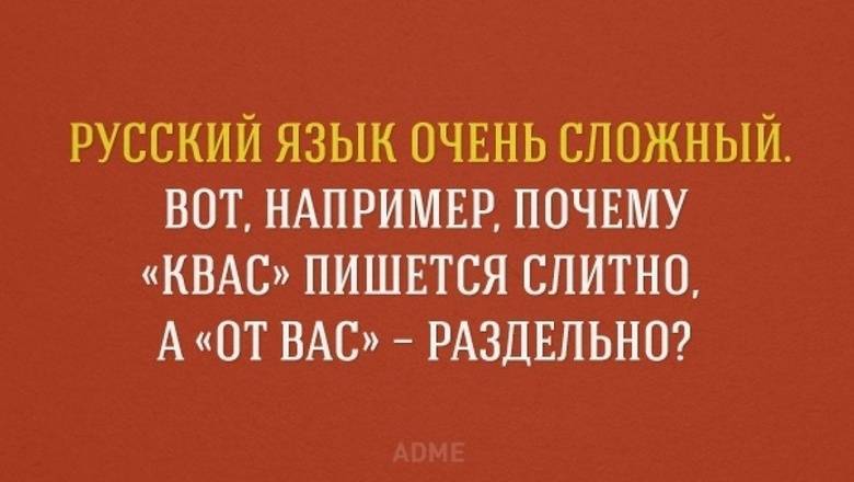 Андрей Нальгин - Вопрос дня: можно ли выучить русский язык, если его не знают даже учителя? - newizv.ru