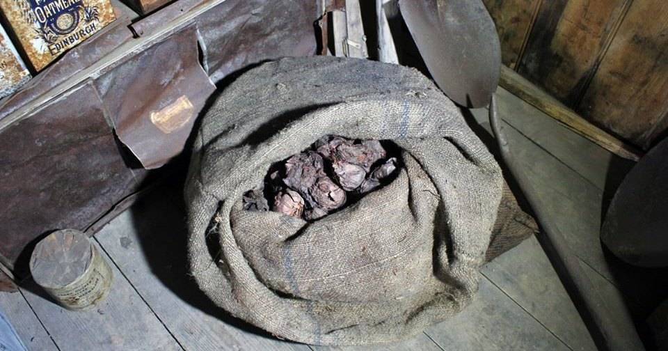 Посмотрите на&nbsp;мешок лука, пролежавший более 100 лет в&nbsp;хижине в&nbsp;Антарктиде - popmech.ru - Антарктида
