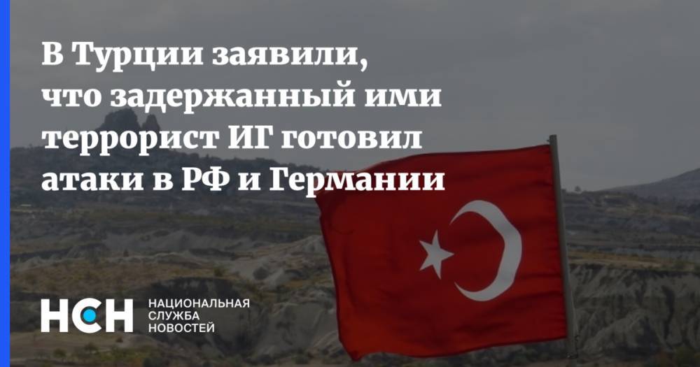 Сулейман Сойлу - В Турции заявили, что задержанный ими террорист ИГ готовил атаки в РФ и Германии - nsn.fm - Россия - Сирия - Турция - Германия