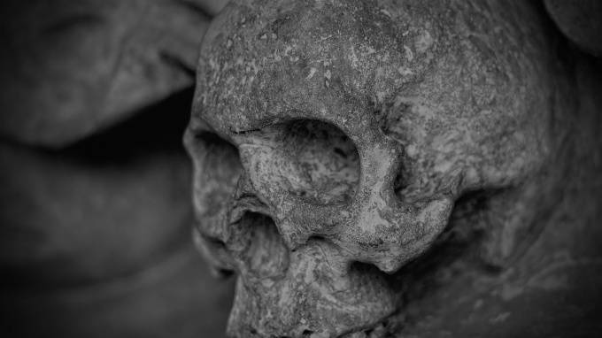 В Колпино обнаружили скелет младенца - piter.tv - Россия - Санкт-Петербург - район Колпинский