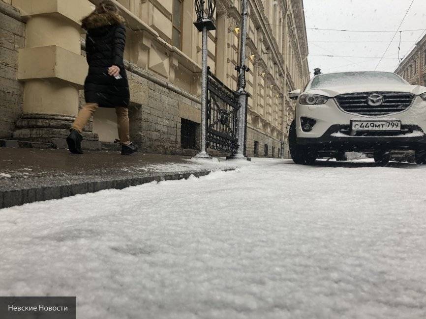 Владимир Болибок - Врач-аллерголог рассказал об опасностях «марсианской» погоды в Москве - newinform.com