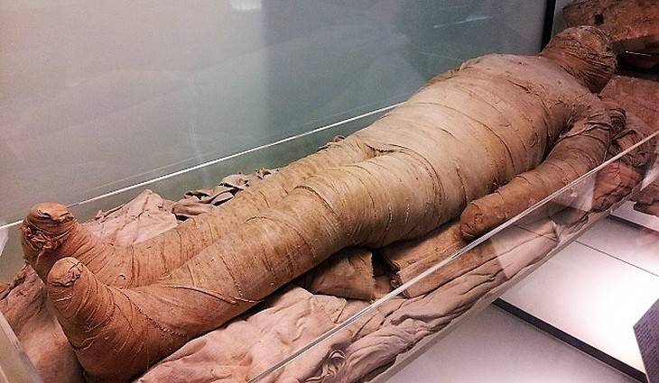 Халед Аль-Анани - Новые древние захоронение мумий обнаружили в Египте - mirnov.ru - Египет
