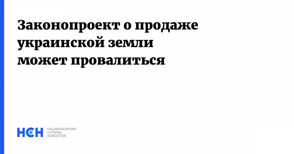 Надежда Савченко - Законопроект о продаже украинской земли может провалиться - nsn.fm - Украина