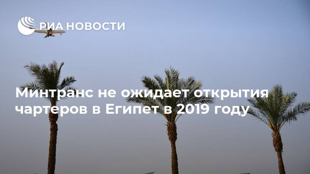 Евгений Дитрих - Минтранс не ожидает открытия чартеров в Египет в 2019 году - ria.ru - Москва - Россия - Египет