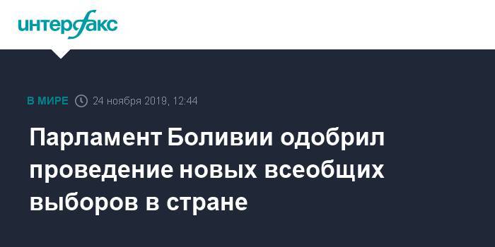 Аньес Жанин - Парламент Боливии одобрил проведение новых всеобщих выборов в стране - interfax.ru - Москва - Боливия