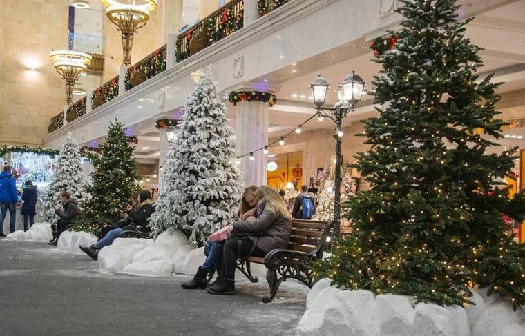 Названа средняя цена новогодней ёлки, которую выбирают россияне - news.ru - Москва - Россия - Нижний Новгород - Волгоград