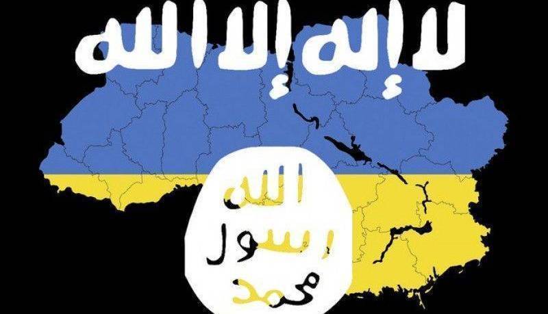 Владимир Сергиенко - В Европе считают Украину серьёзной террористической угрозой - politnavigator.net - Россия - Украина - Англия - Германия