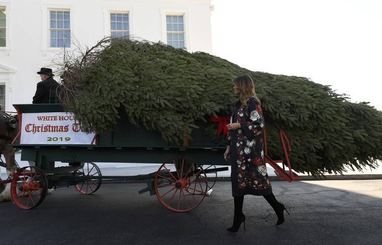 Мелания Трамп - Рождественскую ель доставили в Белый дом - news.ru - США - Нью-Йорк - шт.Пенсильвания