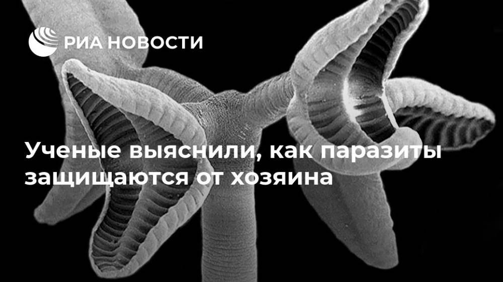 Ученые выяснили, как паразиты защищаются от хозяина - ria.ru - Москва - Тюмень