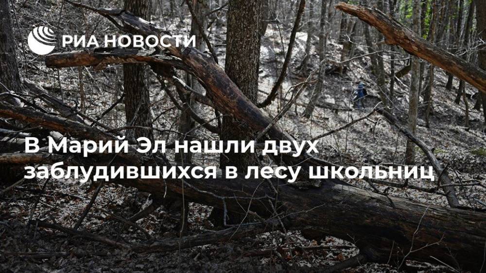 В Марий Эл нашли двух заблудившихся в лесу школьниц - ria.ru - Нижний Новгород - район Звениговский - Марий Эл