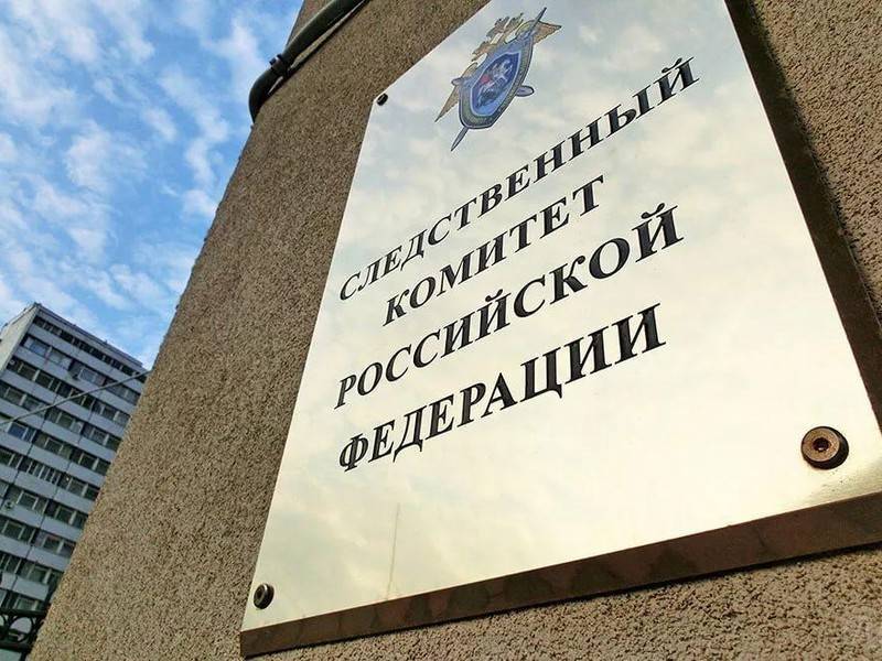 СК завёл дело на подозреваемую в истязании детей опекуншу - news.ru - Россия