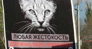 Охрана чиновника применила силу к зоозащитникам на Кубани - kavkaz-uzel.eu - Краснодар - станица Динская