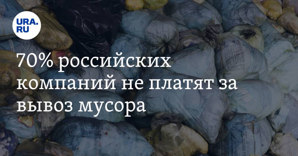 Денис Буцаев - 70% российских компаний не платят за вывоз мусора - ura.news - Россия