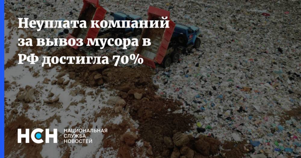 Денис Буцаев - Неуплата компаний за вывоз мусора в РФ достигла 70% - nsn.fm - Россия