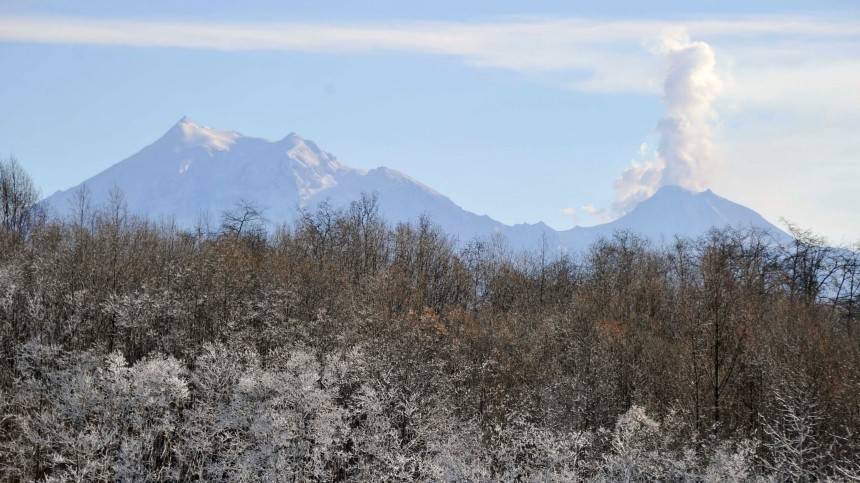 Вулкан Шивелуч на Камчатке выбросил пепел на высоту шести километров - 5-tv.ru - Камчатск