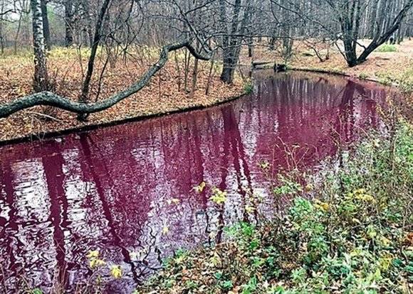 Мосводосток объяснил, почему река на севере столицы окрасилась в багровый цвет - vm.ru