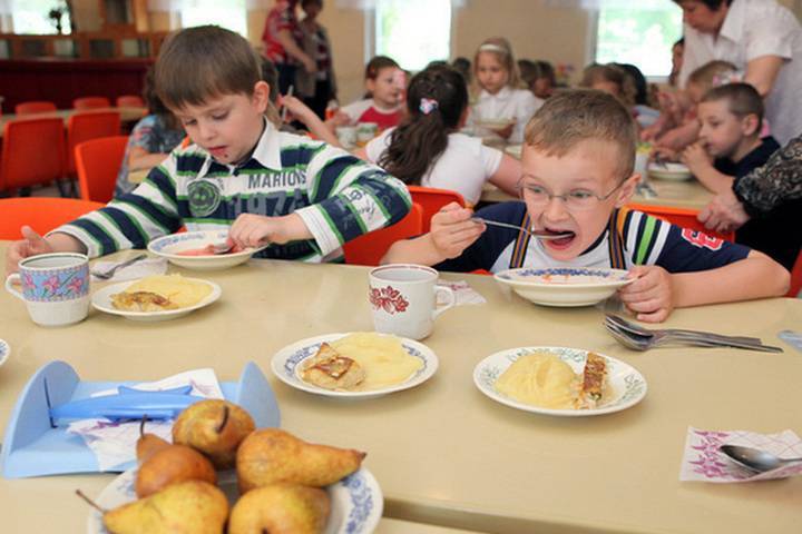 Борис Чернышов - В Госдуме предположили исключить импортное продовольствие из школьного питания - mk.ru - Россия