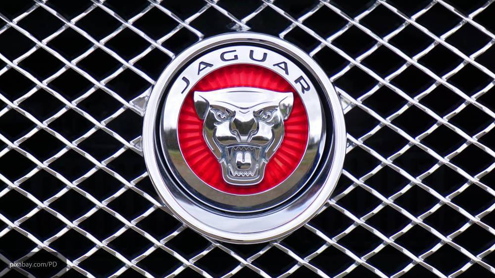 В Сети появились первые официальные фото обновленного Jaguar F-Type - newinform.com