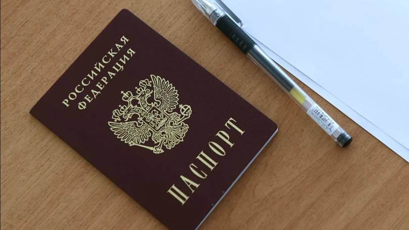 Игорь Зубов - В МВД предложили упростить украинцам получение гражданства России - russian.rt.com - Россия