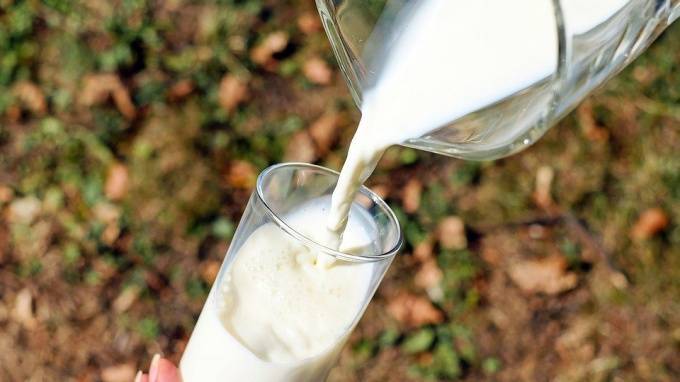 Молочные продукты с растительными жирами предложили переименовать - piter.tv