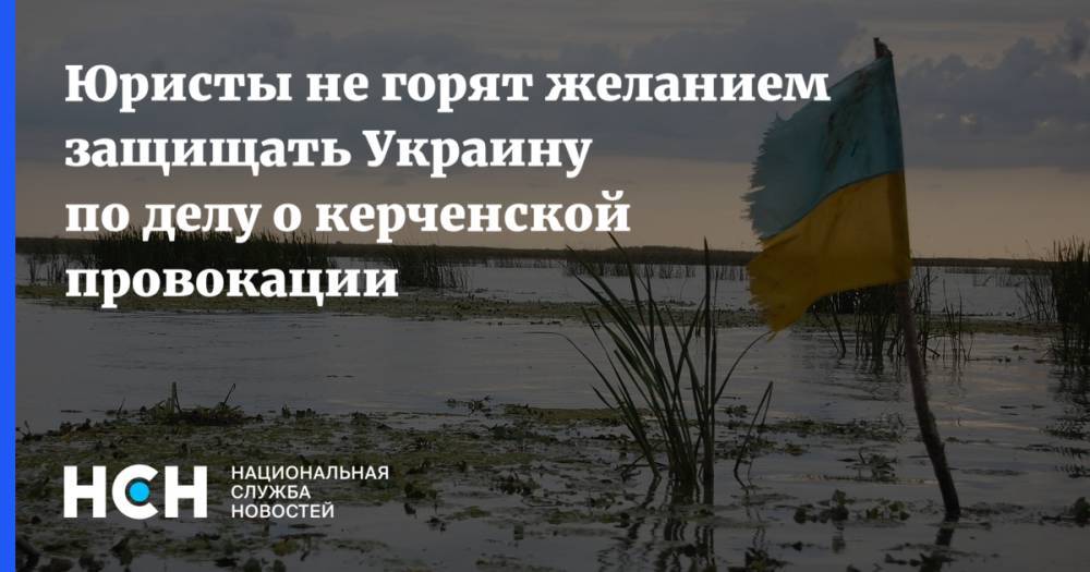 Петр Порошенко - Александр Молохов - Илья Новиков - Юристы не горят желанием защищать Украину по делу о керченской провокации - nsn.fm - Россия - Украина - Крым