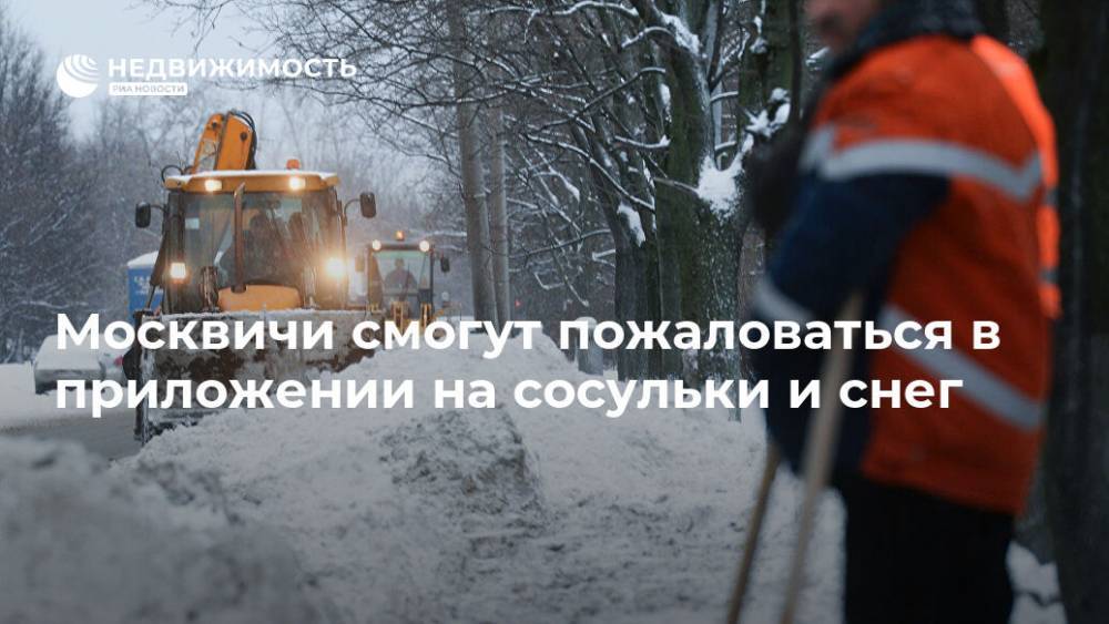 Москвичи смогут пожаловаться в приложении на сосульки и снег - realty.ria.ru - Москва