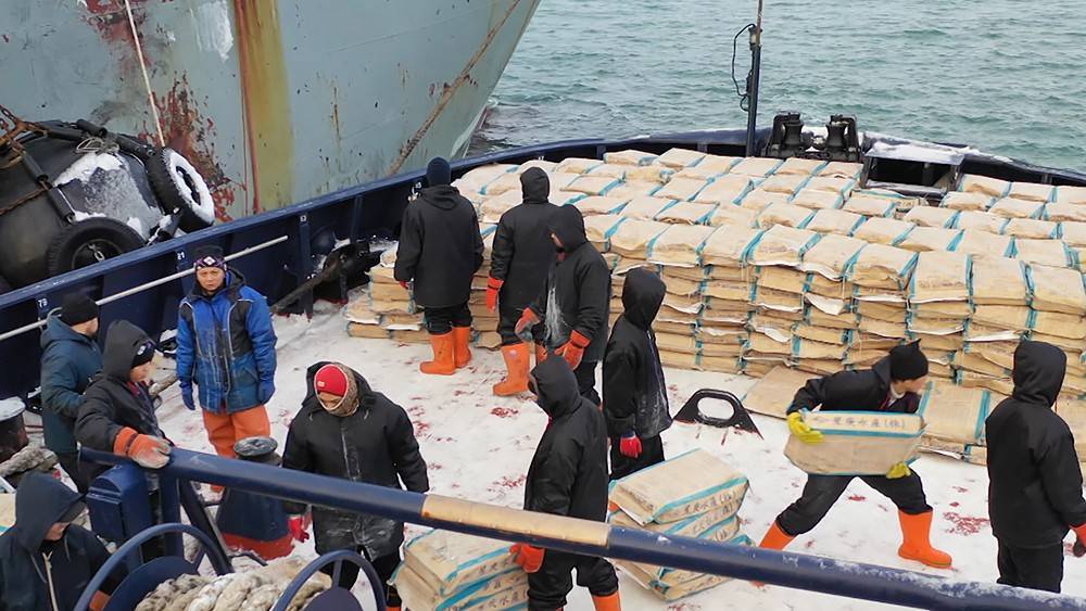 На Сахалине арестовали судно с сотнями тонн рыбы - tvc.ru - Сахалинская обл.
