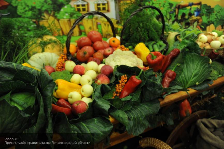 Владимир Болибок - Медик проверил список продуктов, приводящих к ухудшению сна - newinform.com