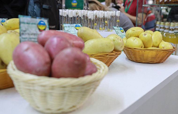 Эстония ввела запрет на ввоз картофеля и яблок из России - news.ru - Россия
