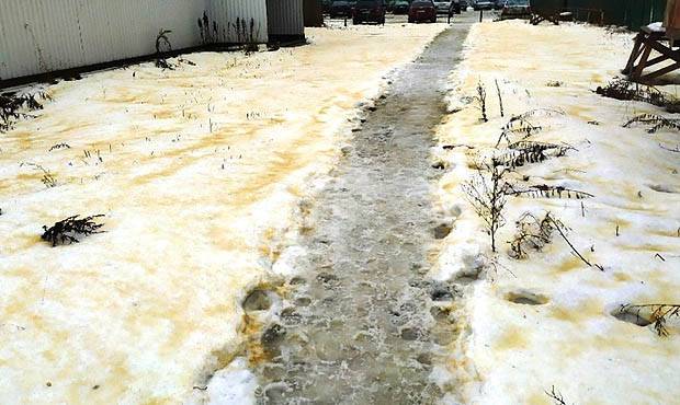 В Сегеже после жалоб граждан на желтый снег и падеж птиц зафиксировали выброс ядовитых веществ - og.ru - Сегежа